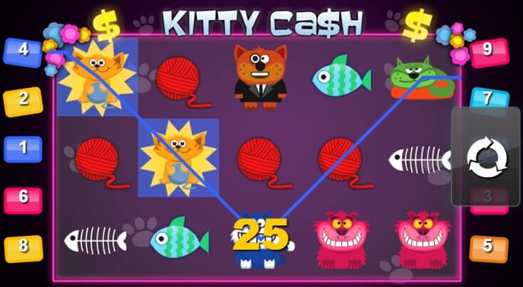 Kitty cash