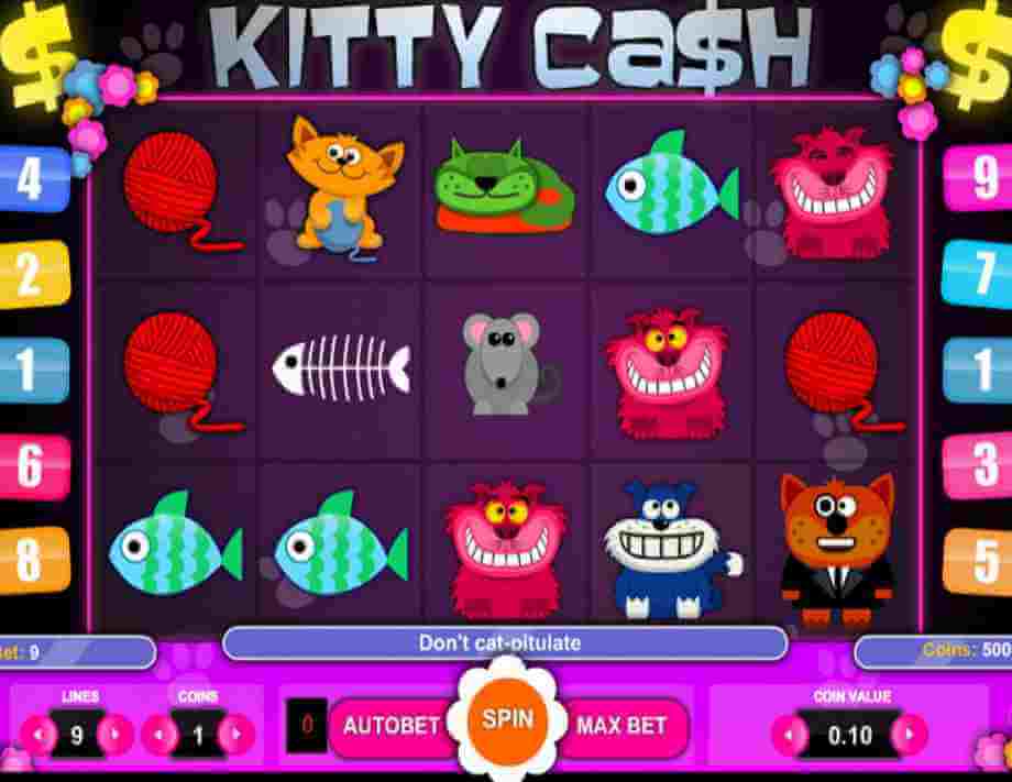 Kitty cash