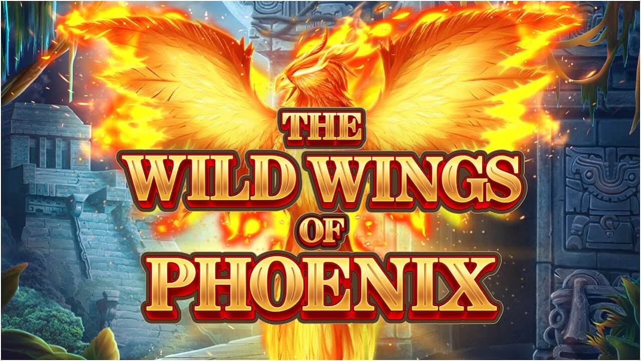 The wild wings of phoenix