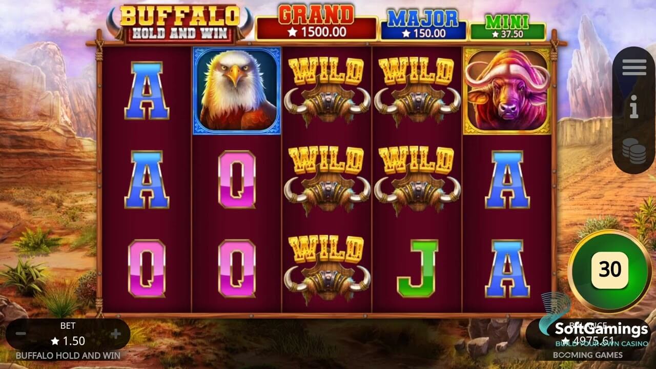 Buffalo hold and win