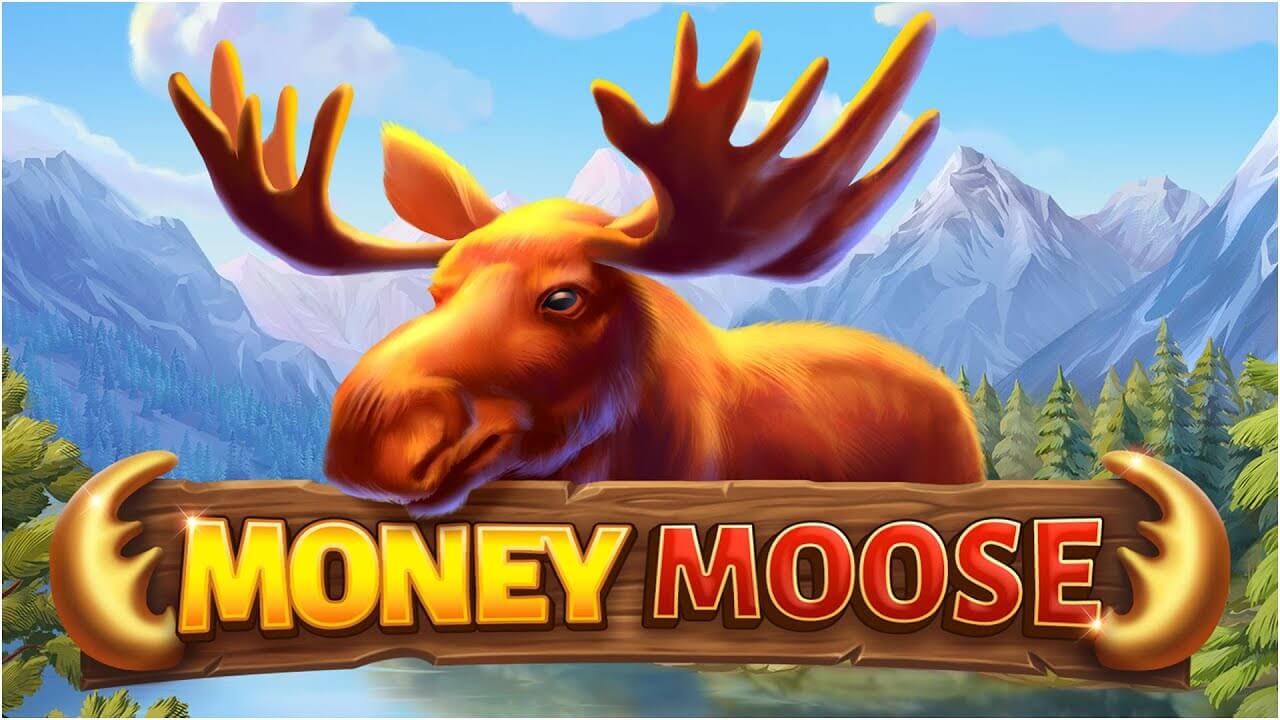 Money moose