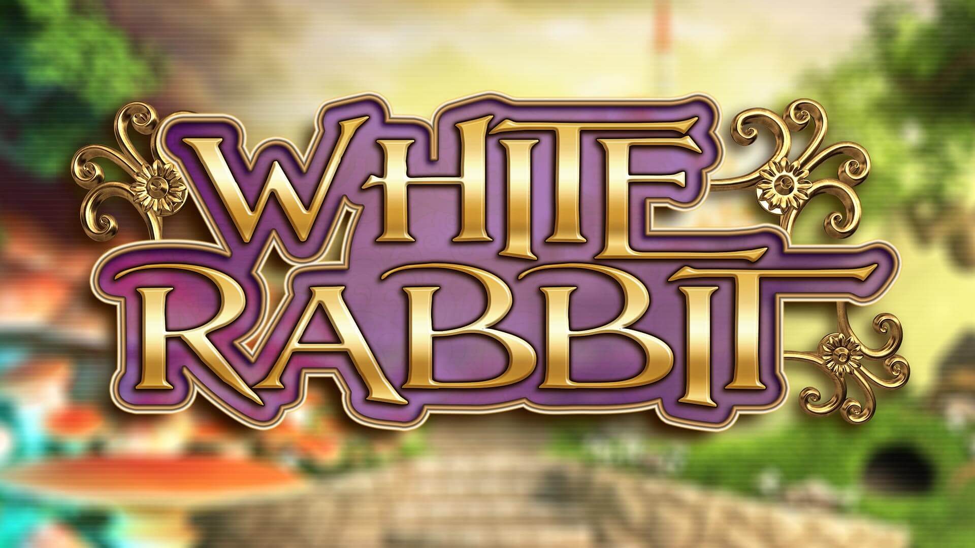 White rabbit