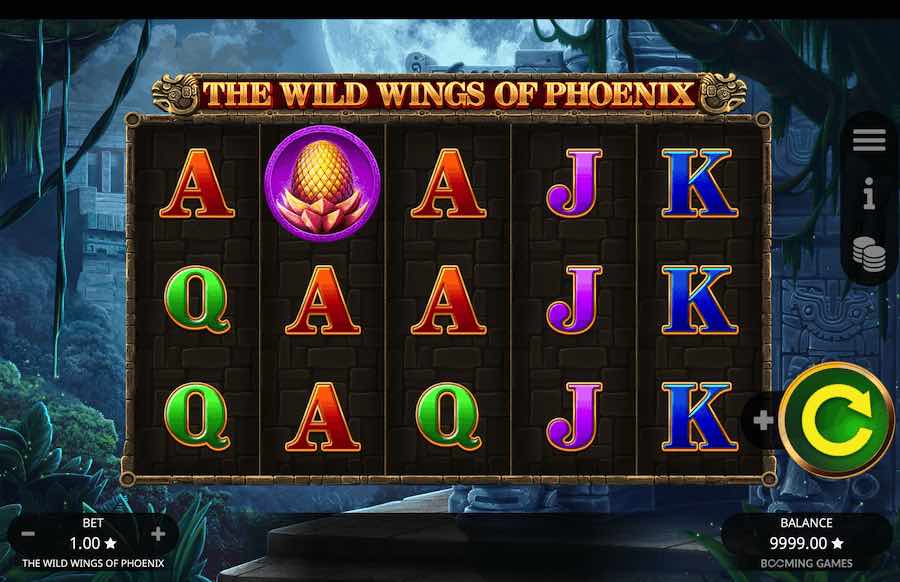 The wild wings of phoenix