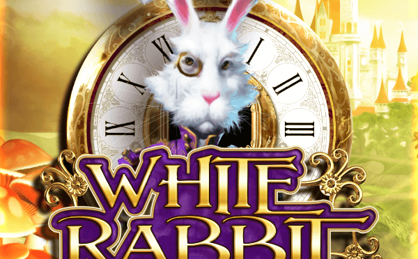 White rabbit