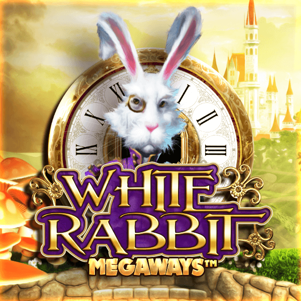 White rabbit