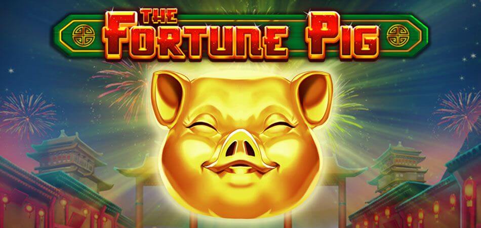 Fortune pig