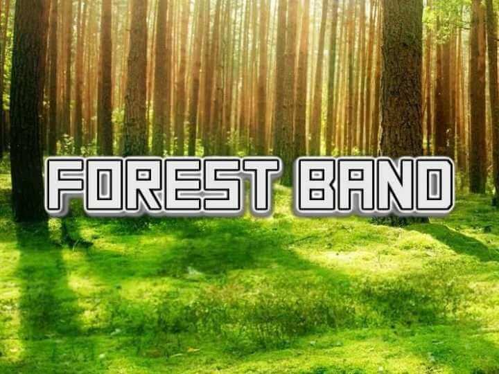 Forest band