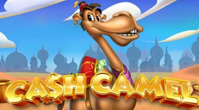 Cash camel