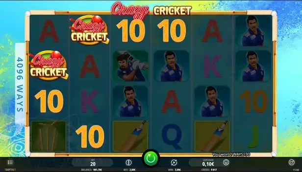 Crazy cricket