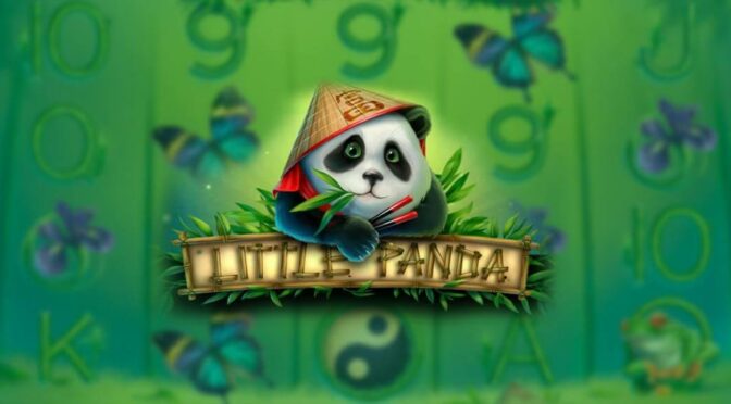 Little panda