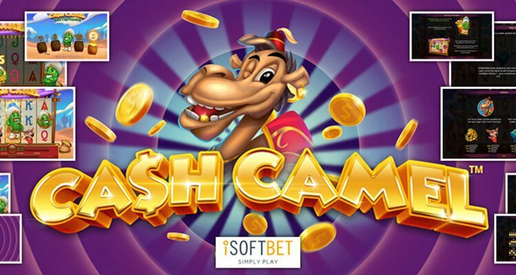 Cash camel