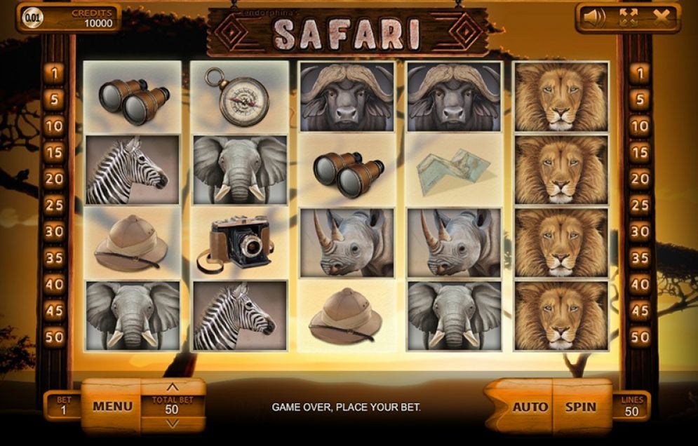 Safari