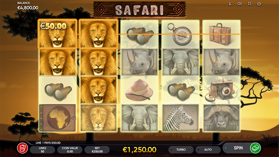 Safari