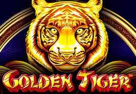 Golden tiger