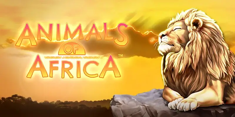 Animals of africa