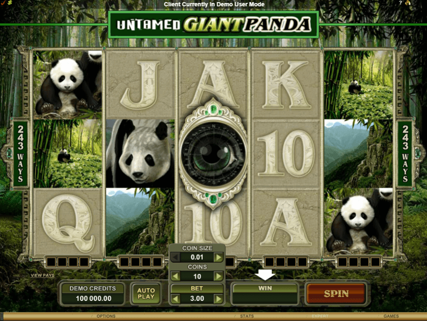 Untamed giant panda