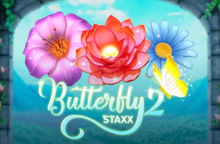 Butterfly staxx 2