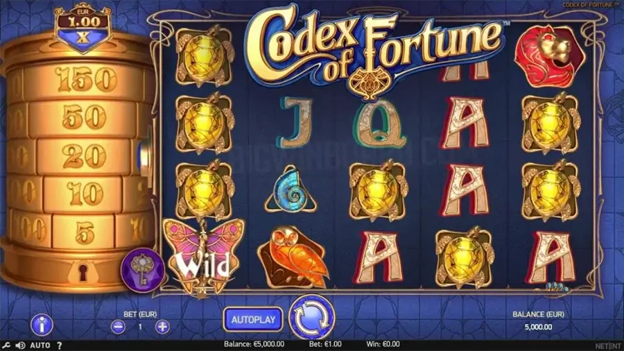 Codex of fortune