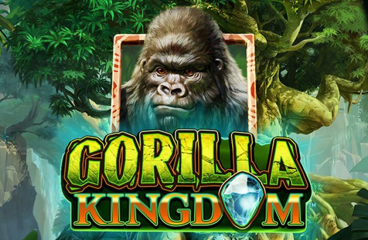 Gorilla kingdom