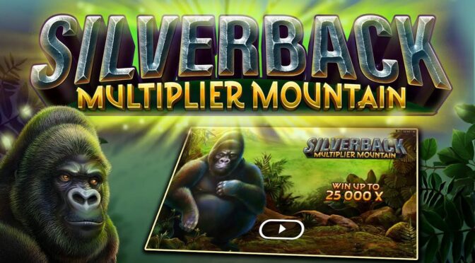 Silverback multiplier mountain