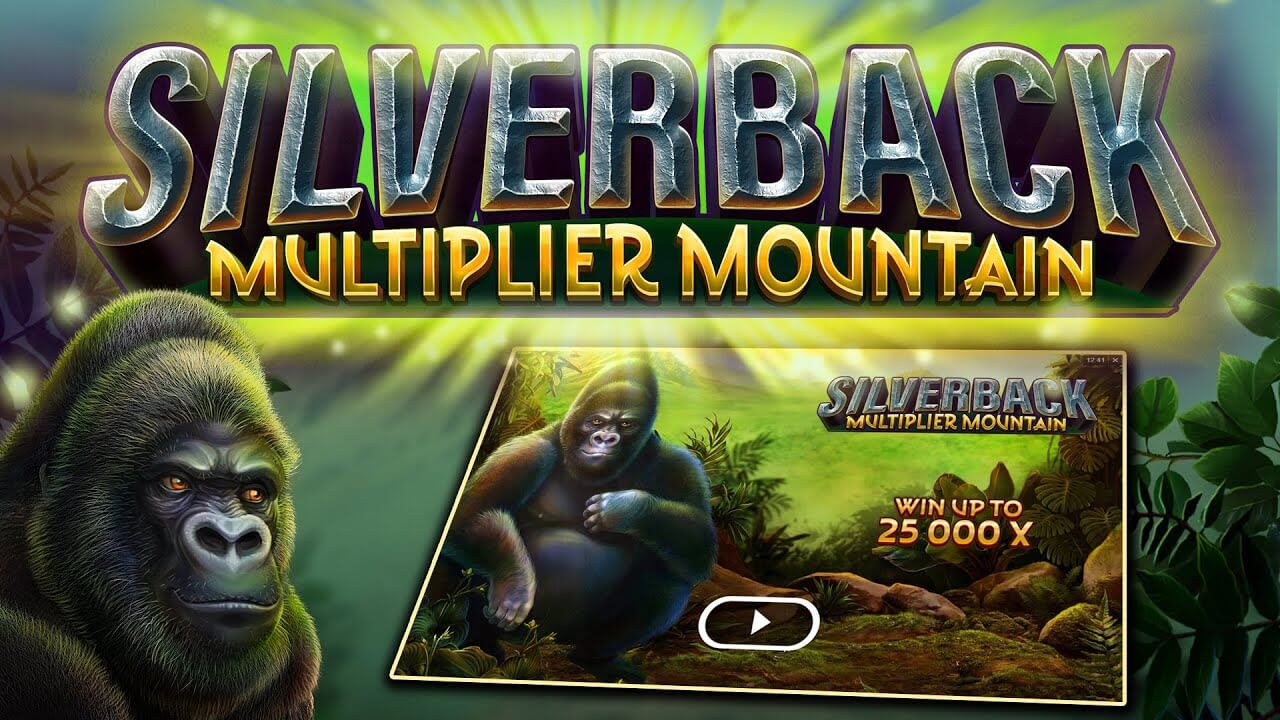 Silverback multiplier mountain