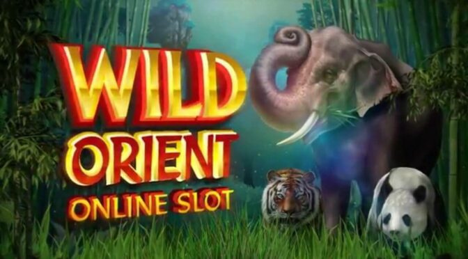 Wild orient