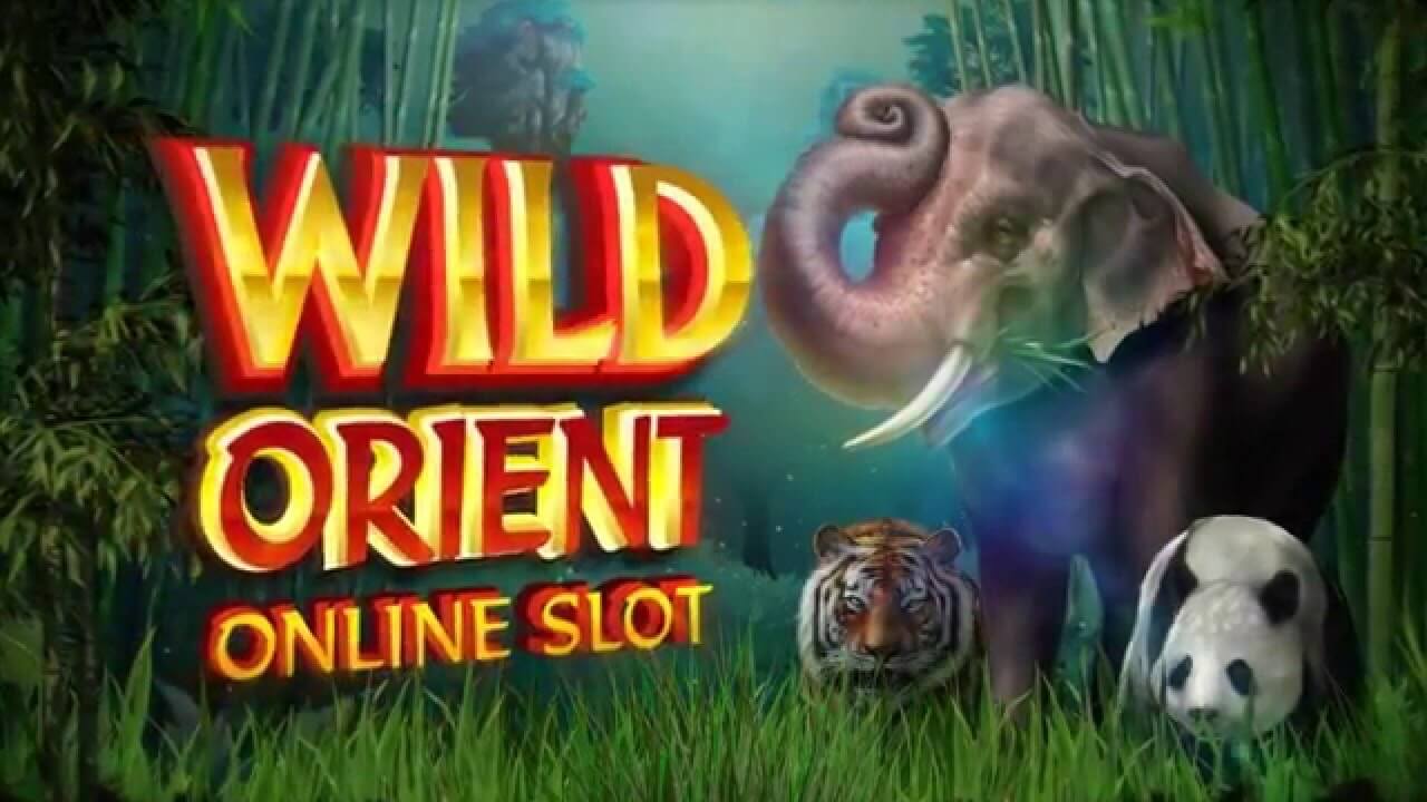 Wild orient