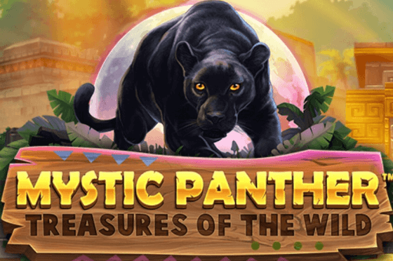 Mystic panther treasures of the wild