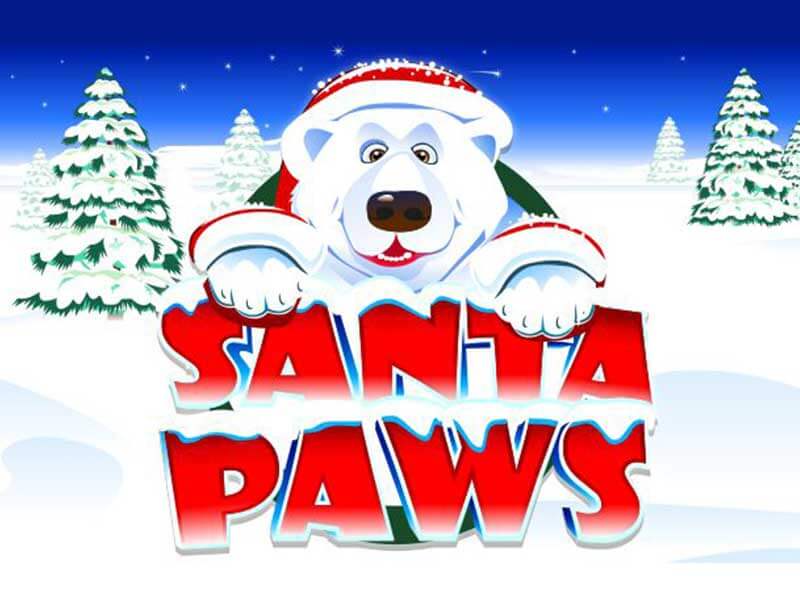 Santa paws