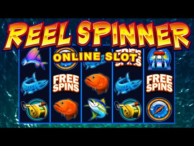 Reel spinner