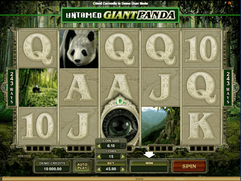 Untamed giant panda