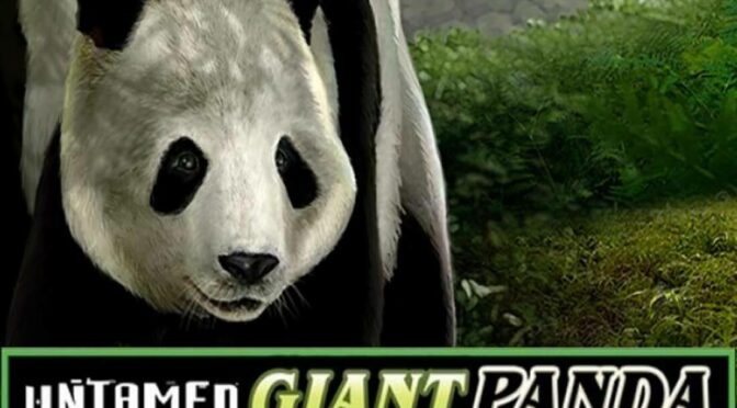 Untamed giant panda