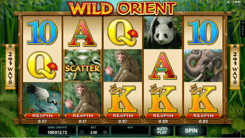 Wild orient