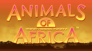 Animals of africa