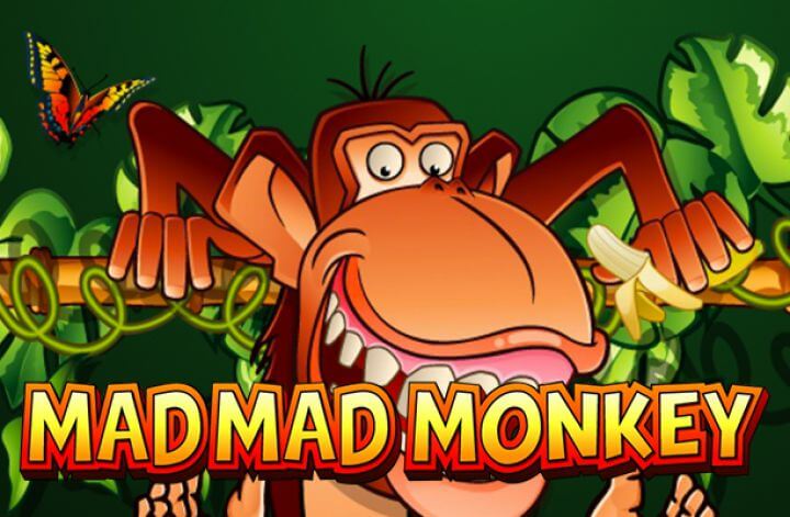 Mad mad monkey