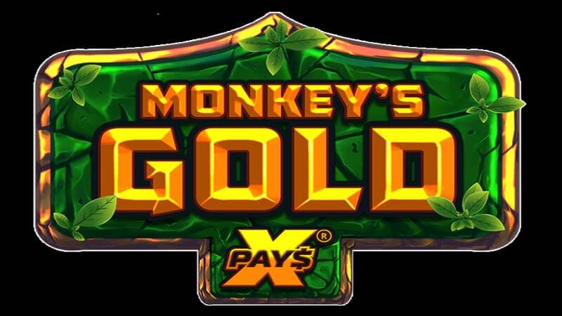 Monkeys gold xpays