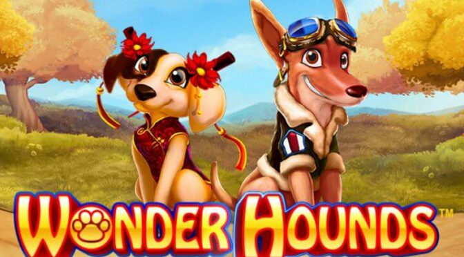 Wonder hounds