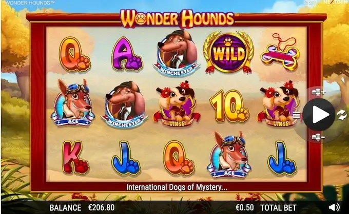 Wonder hounds