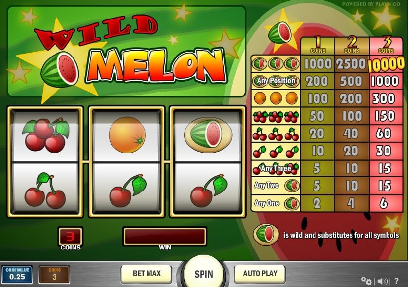 Wild melon