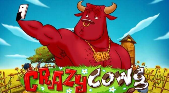 Crazy cows