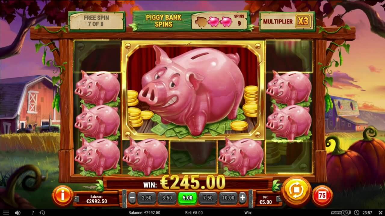 Piggy bank farm