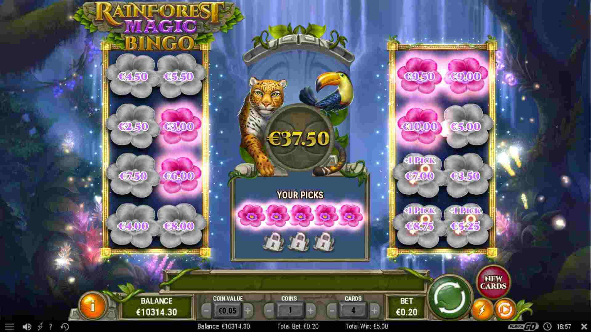 Rainforest magic bingo