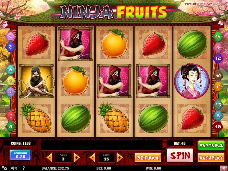 Ninja fruits