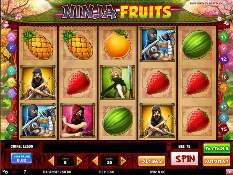 Ninja fruits