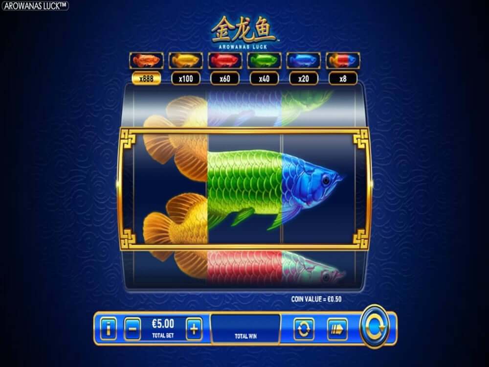 Arowanas luck