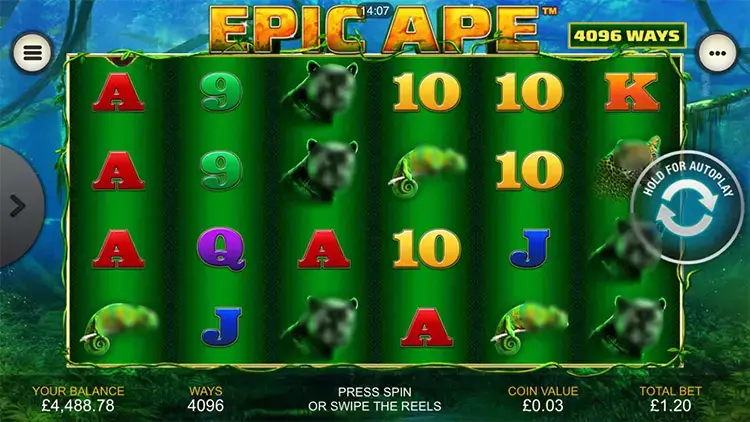 Epic ape