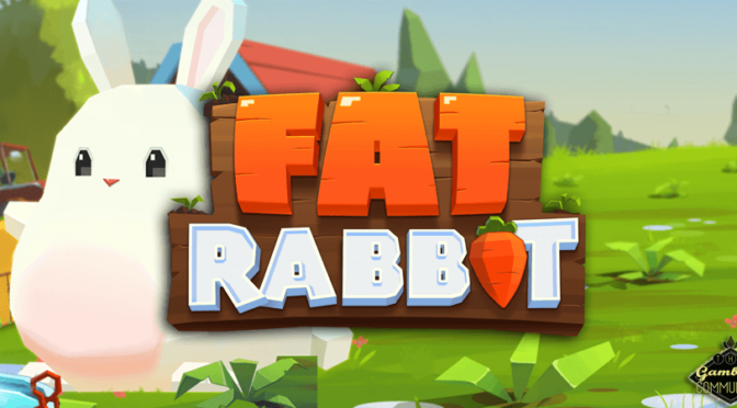 Fat rabbit