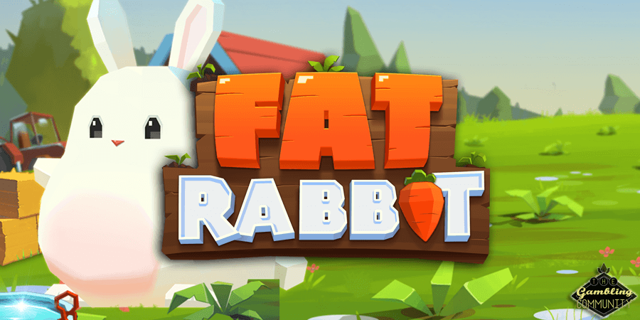 Fat rabbit