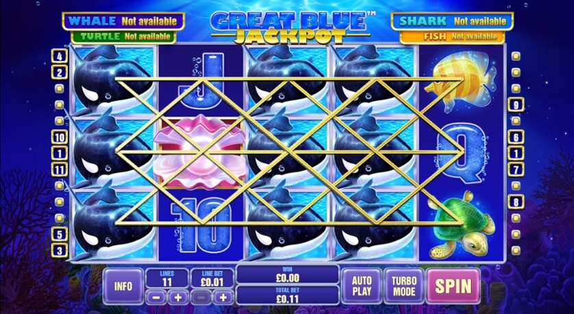 Great blue jackpot