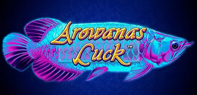 Arowanas luck